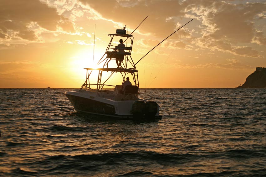 cabo-san-lucas-fishing-trips