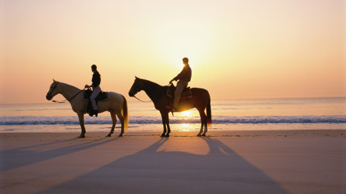 horseback-cabo-fishing-charters