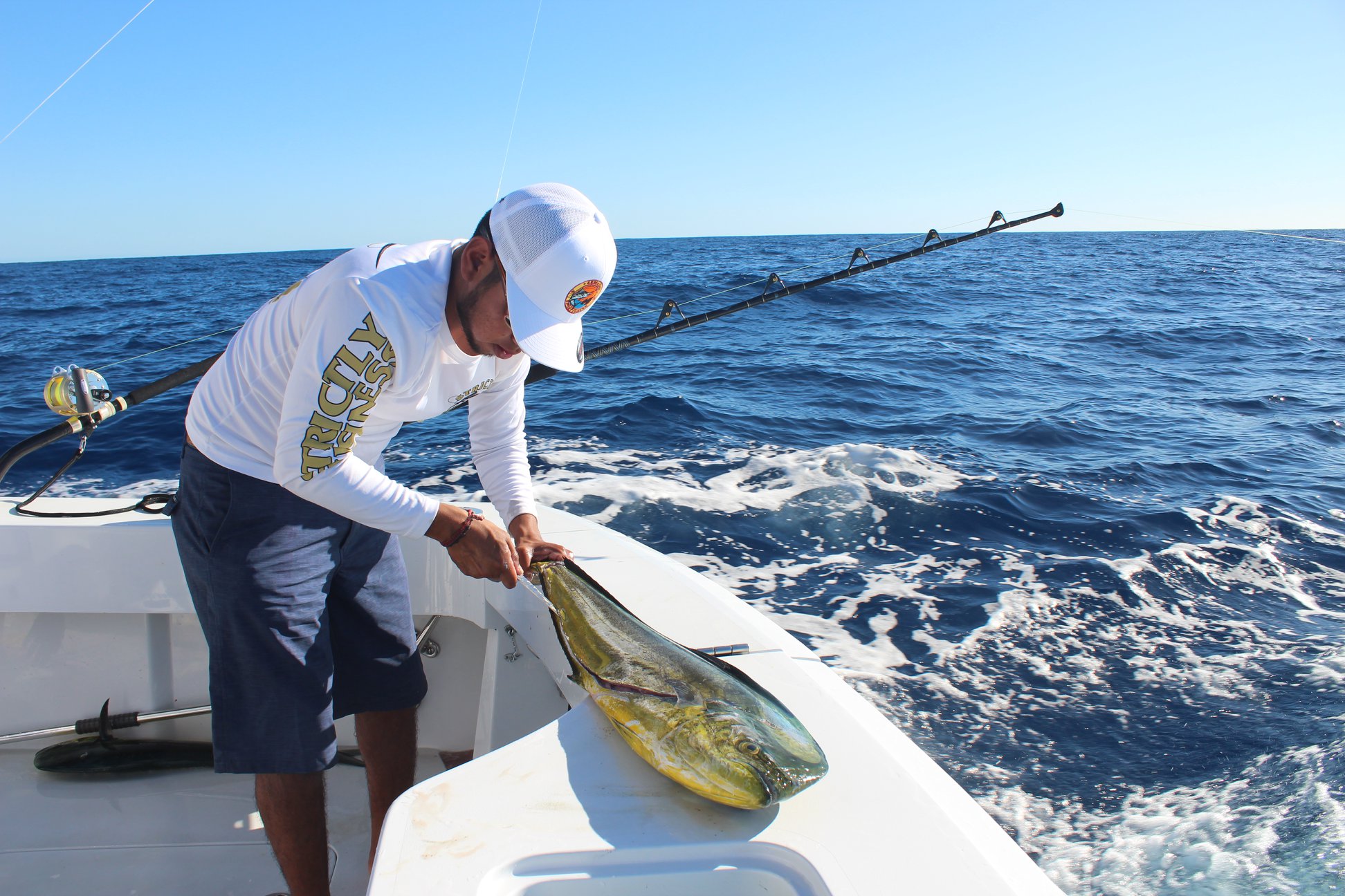 cleaning fish on the fishing boat