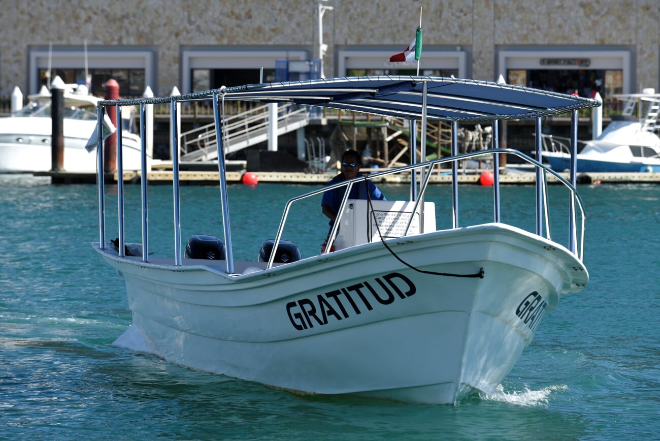 whale watching boat